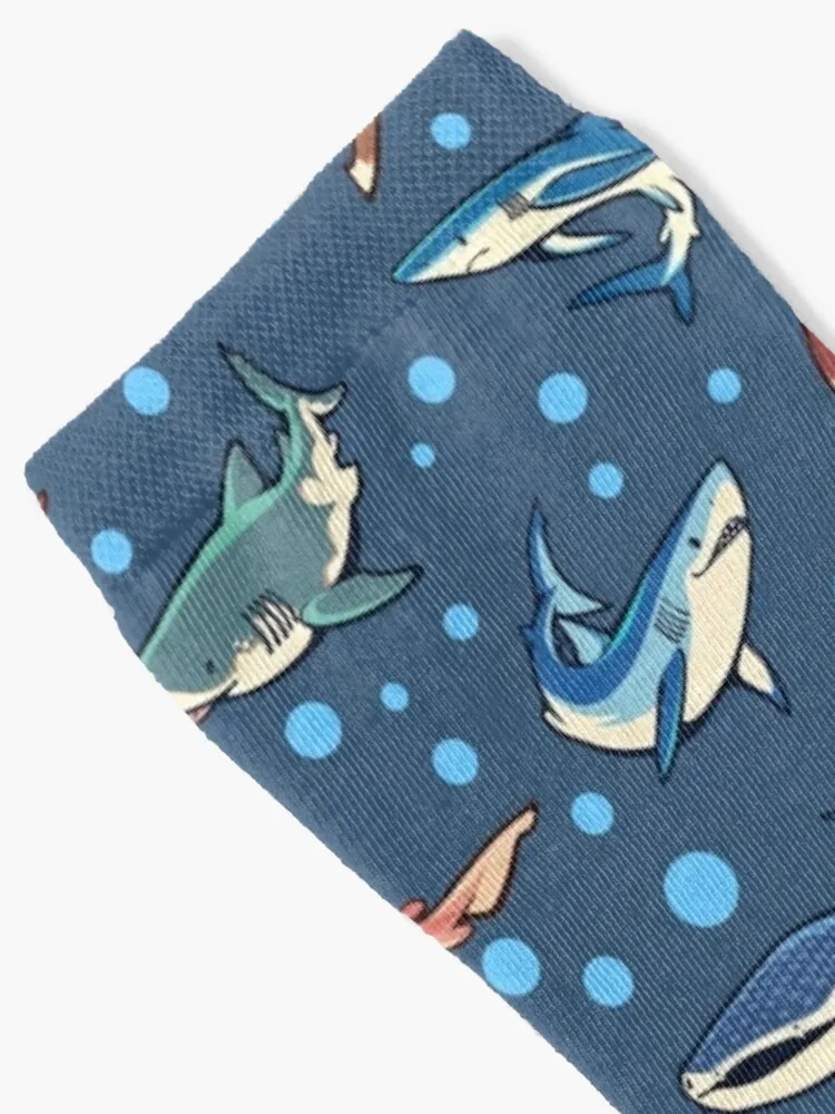 Акулите в тъмно-сини чорапи, Дамски чорапи, набор от чорапи1