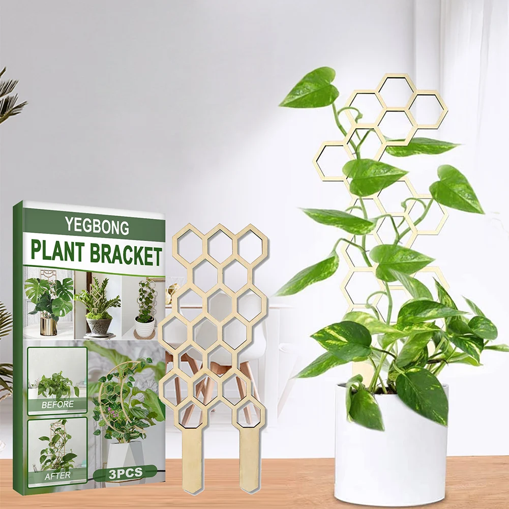 3 БР. Рамка за ликвидация на лозя в саксия, Здрава дървена Решетчатая поставка за увивни растения, лесна за инсталиране, геометрични форми за растежа на растенията4