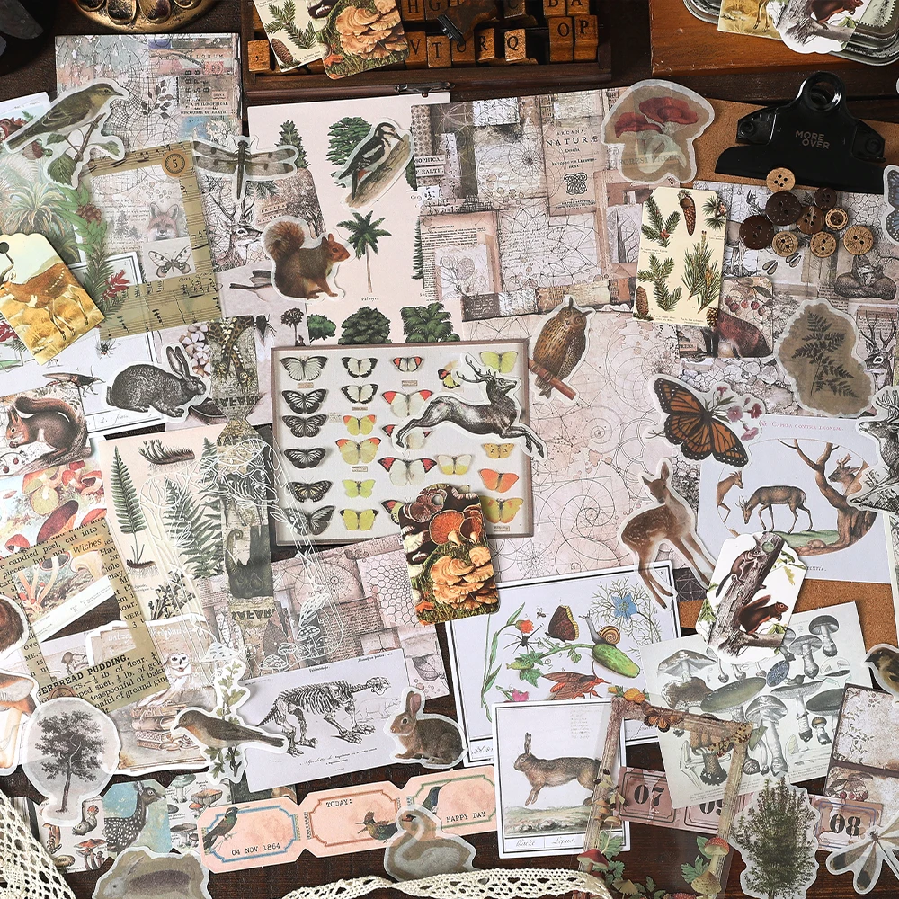 160 бр Ретро горски Ботаническата Дневник, Ръководство за употреба, Украса за Колажа, Стикер за Scrapbooking, на Фона на Етикети, Офис Консумативи5